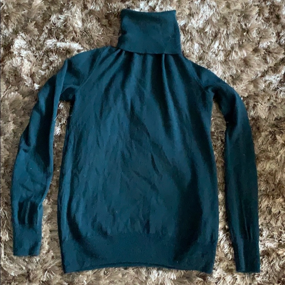 JCrew turtleneck sweater